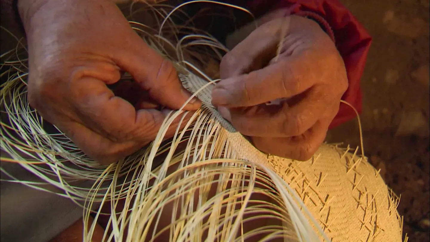The Lost Palm Weavers of Sonora