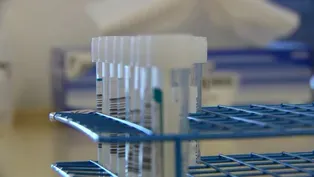 New BQ mutations could drive surge in COVID-19 cases