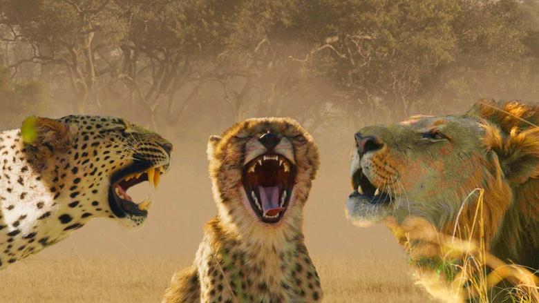 Big Cats 24/7 Image