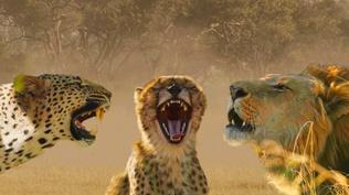 Big Cats Unleashed - Translating a Lion’s Roar