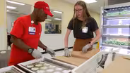 Physical therapy with hydroponics