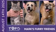 08/14/2025 | Bunny, Space, and Iris | Mark's Furry Friends