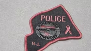 Pink Badges for Breast Cancer