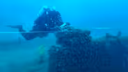 I. A. Johnson shipwreck video