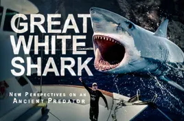 Great White Shark: New Perspectives On An Ancient Predator