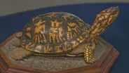 Appraisal: Doug Eppes Eastern Box Turtle Carving, ca. 1975