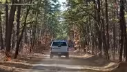 New Wharton State Forest access map draws mixed reaction