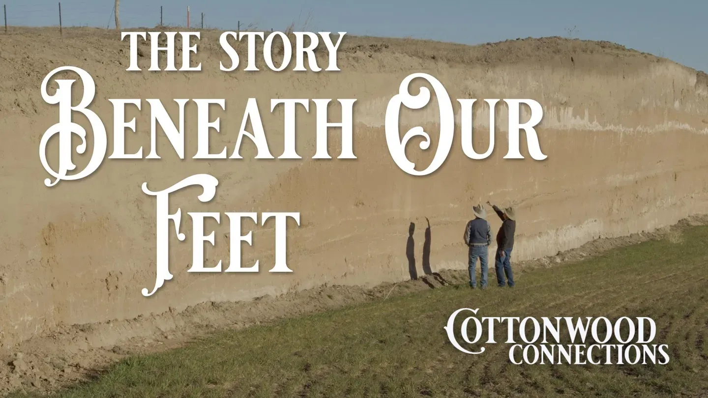 The Story Beneath Our Feet