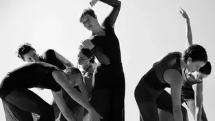 Wellspring/Cori Terry & Dancers: History