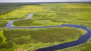 Mississippi Headwaters w/ artist Preston Lawing