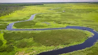 Mississippi Headwaters w/ artist Preston Lawing