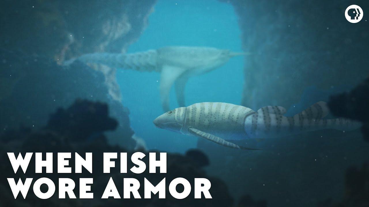 Prehistoric Shark - Play on Armor Games