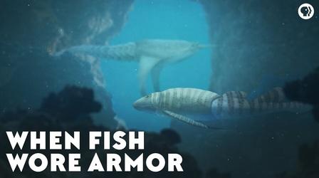 Video thumbnail: Eons When Fish Wore Armor