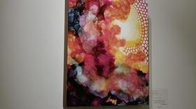 Video thumbnail: Broad and High Julia Hamilton: In Loving Color
