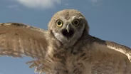 The Science of Wildlife