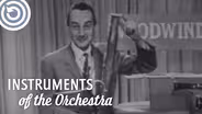 The Bassoon and the Woodwinds