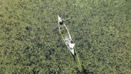 Wisconsin's Wild Rice Harvest and Threats of Climate Change