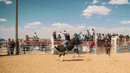 She Built a Bull Riding Show on the Navajo Nation