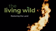 Restoring the Land
