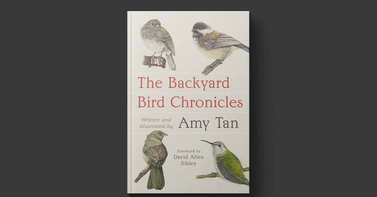 PBS NewsHour Amy Tan turns her literary gaze on the world of birds