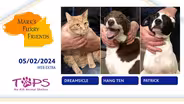 05/02/2024 | Dreamsicle, Hang Ten and Patrick  | Mark's Furry Friends | Extra
