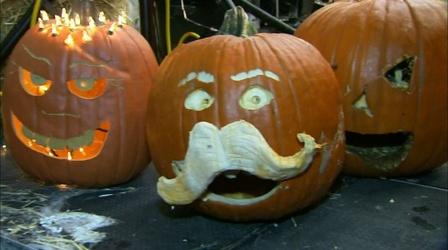 Video thumbnail: Discover the D Detroit Zoo Boo