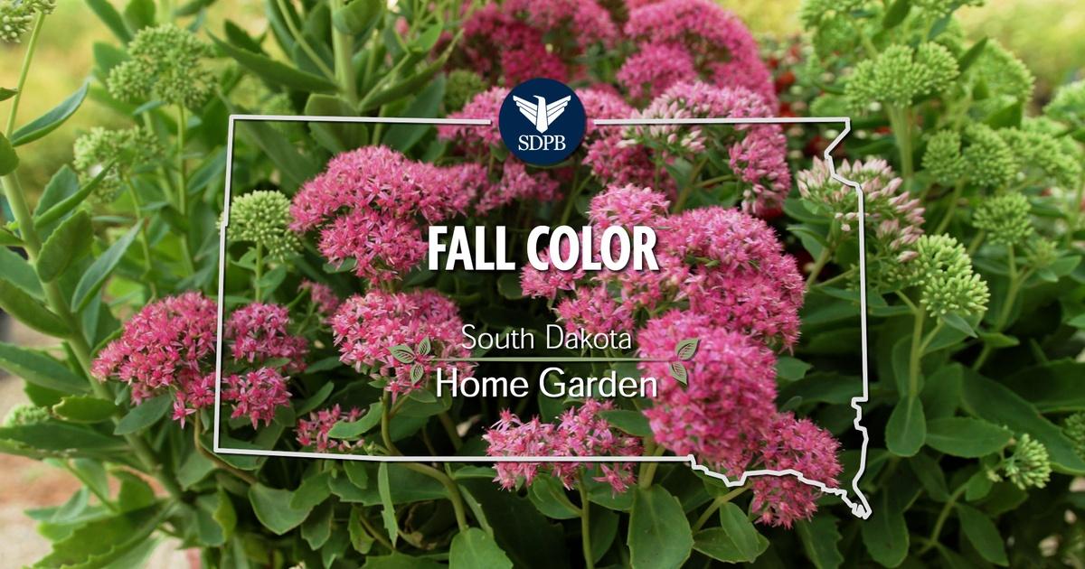 South Dakota Home Garden | South Dakota Home Garden Fall Color ...