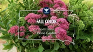 South Dakota Home Garden Fall Color
