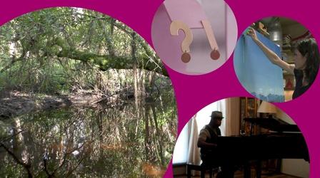 Video thumbnail: WEDU Arts Plus Episode 1008 Preview
