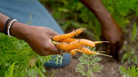Video thumbnail: Wisconsin Foodie Preview - Scales Family Farm | Deer District Market