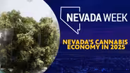 Nevada’s Cannabis Economy in 2025