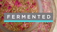 Fermented