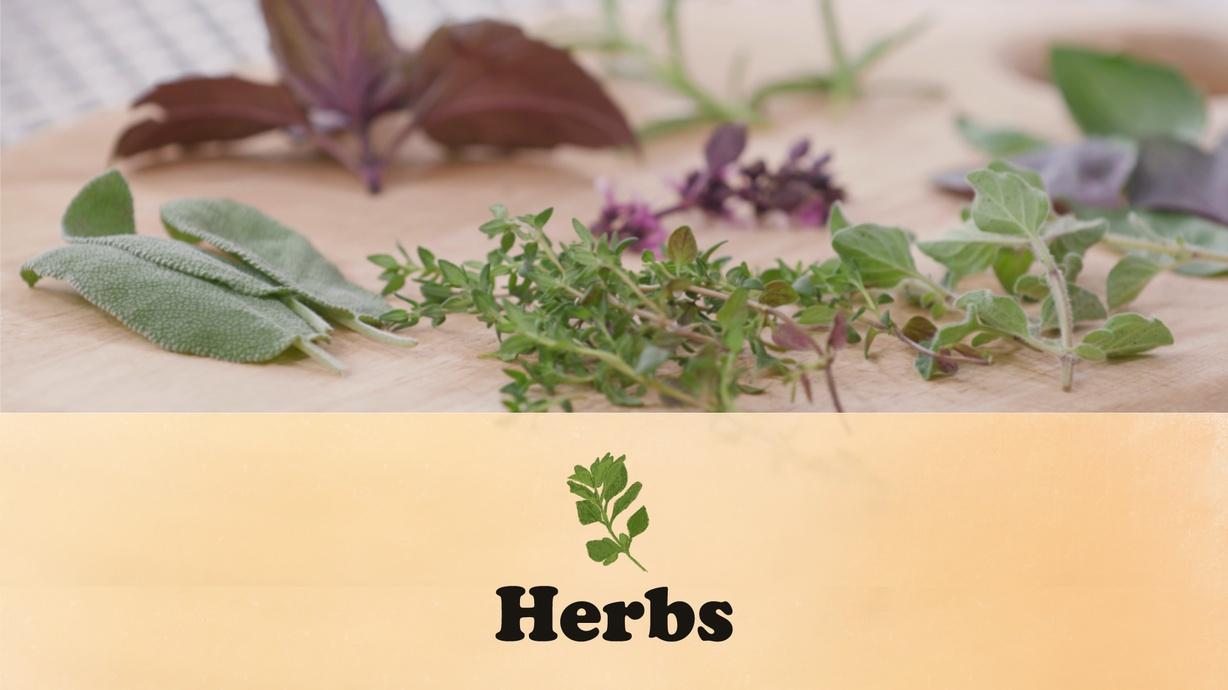 Herbs | Watch on PBS Wisconsin