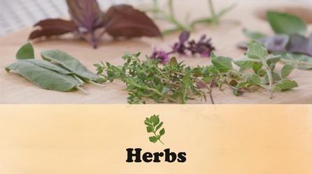 Video thumbnail: Let's Grow Stuff Herbs
