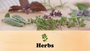 Herbs