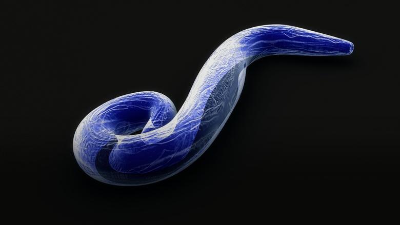 Eons Image
