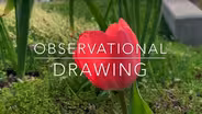 Let's Explore with Mr. Scott | Observational Drawing
