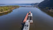Scientists face ecological, economic hurdles to save delta