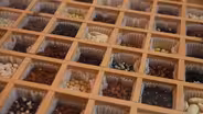 Kingston Area Seed System Initiative