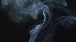 Video thumbnail: NOVA The Cannabis Question