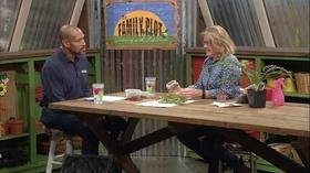 Video thumbnail: The Family Plot Propagating Ferns & Daylillies