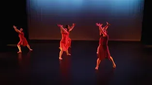 Wellspring/Cori Terry & Dancers: Education