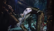 NC Aquarium at Pine Knoll Shores
