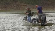 Weather and Fishing; Mobile Shooting Sport; Bow Fishing