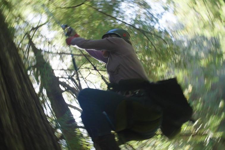 Second Language Poster