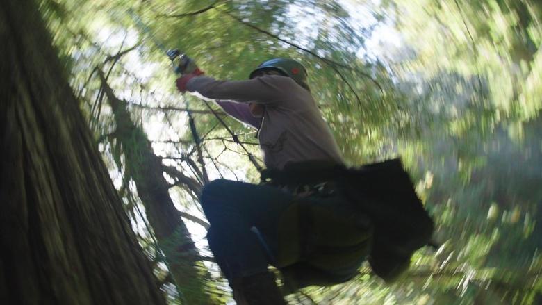 Climate California Image