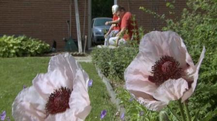 Video thumbnail: Nebraska Stories The Master Gardener