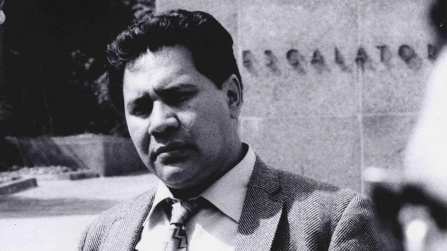 The Rise and Fall of the Brown Buffalo