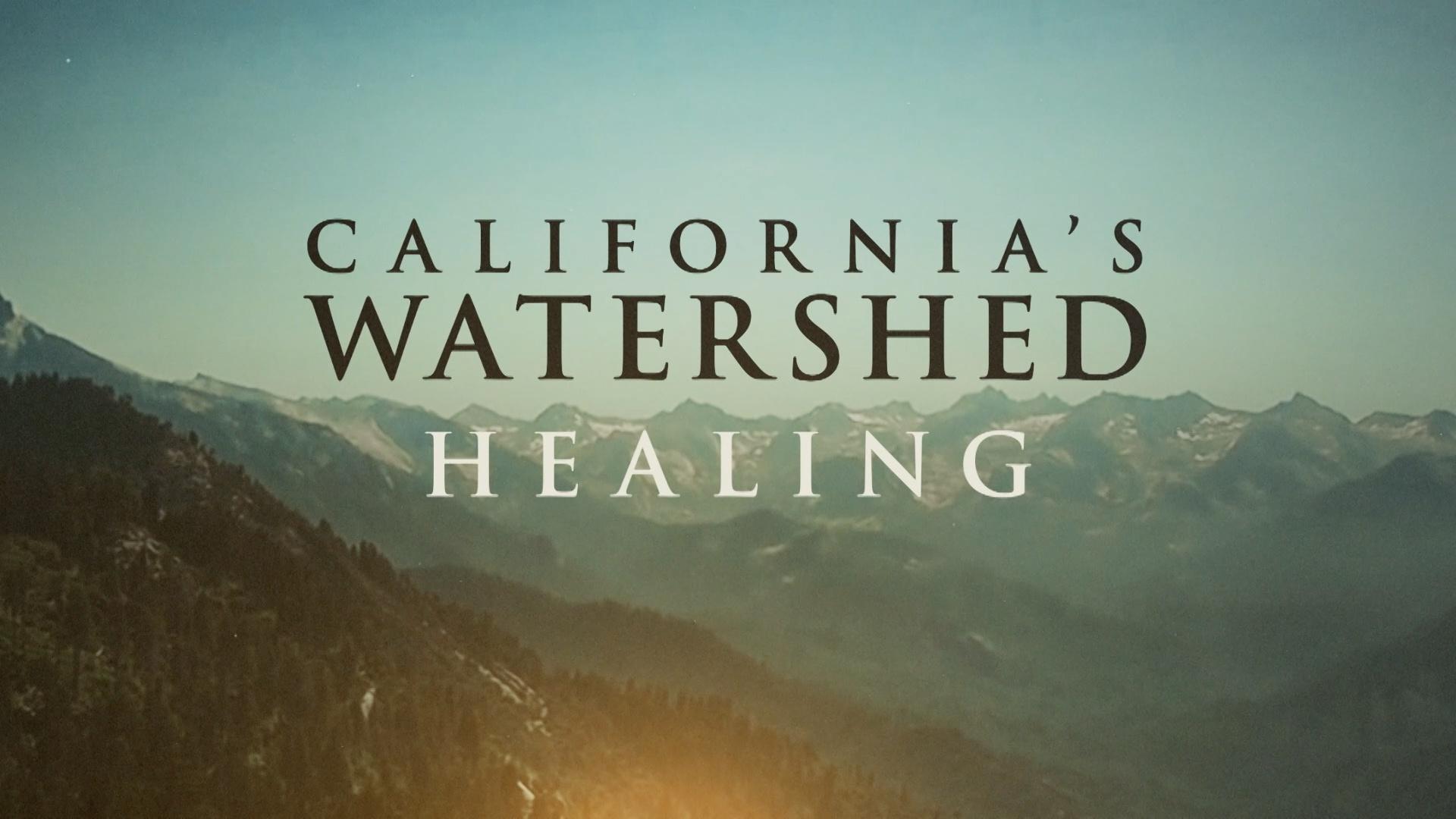 Reversing a century of unsustainable forest use gives huge benefits, with much more to do.