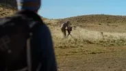 A Year in the Wild